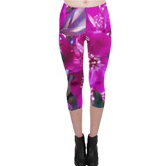 Pretty In Fuchsia Capri Leggings  by dawnsiegler