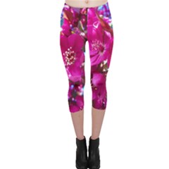 Pretty In Fuchsia 2 Capri Leggings  by dawnsiegler