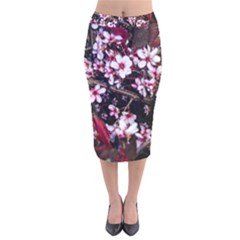 Morning Sunrise Velvet Midi Pencil Skirt by dawnsiegler