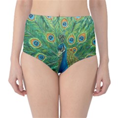 Royalty High-waist Bikini Bottoms