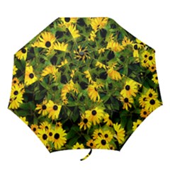 Walking Through Sunshine Folding Umbrellas by dawnsiegler