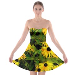 Walking Through Sunshine Strapless Bra Top Dress by dawnsiegler