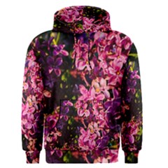 Lilacs Men s Pullover Hoodie by dawnsiegler