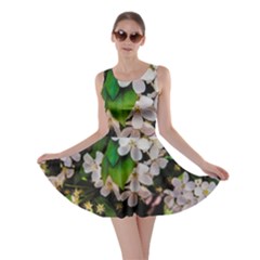 Tree Blossoms Skater Dress by dawnsiegler