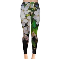 Tree Blossoms Leggings  by dawnsiegler