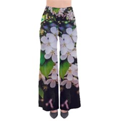 Tree Blossoms Pants by dawnsiegler