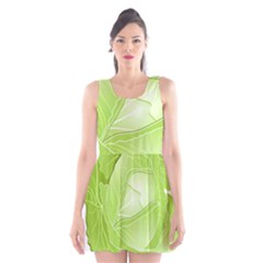 Cabbage Leaf Vegetable Green Scoop Neck Skater Dress by Mariart