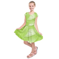 Cabbage Leaf Vegetable Green Kids  Short Sleeve Dress by Mariart