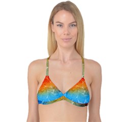 Leaf Color Sam Rainbow Reversible Tri Bikini Top by Mariart