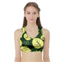 Leaf Green Yellow Sports Bra with Border View1