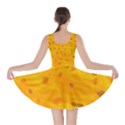 Goldfish Skater Dress View2