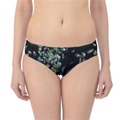 Night Flight Hipster Bikini Bottoms