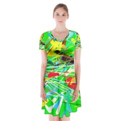 Colorful Painting On A Green Background                  Short Sleeve V-neck Flare Dress by LalyLauraFLM