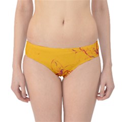 Colors Hipster Bikini Bottoms