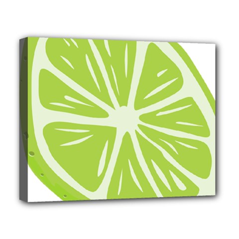 Gerald Lime Green Deluxe Canvas 20  X 16   by Mariart