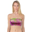 Colors Bandeau Top View1