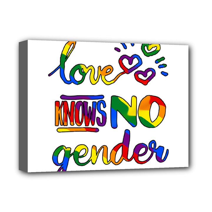 Love knows no gender Deluxe Canvas 16  x 12  