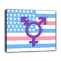 Transgender flag Deluxe Canvas 20  x 16   View1