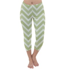 Zigzag  Pattern Capri Winter Leggings  by Valentinaart