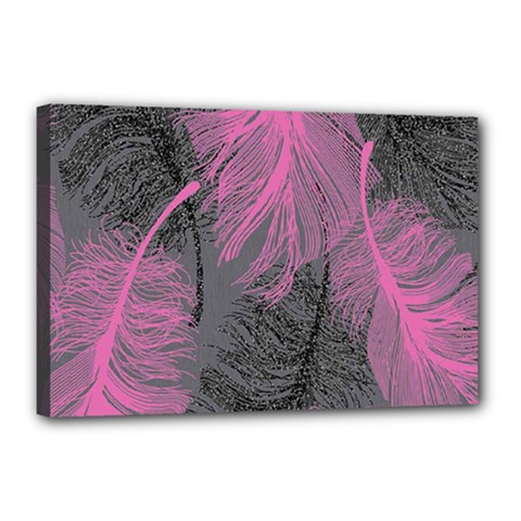 Feathers Quill Pink Grey Canvas 18  X 12  by Mariart