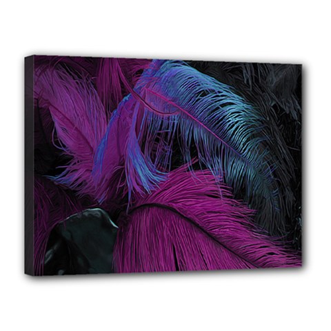 Feathers Quill Pink Black Blue Canvas 16  X 12  by Mariart