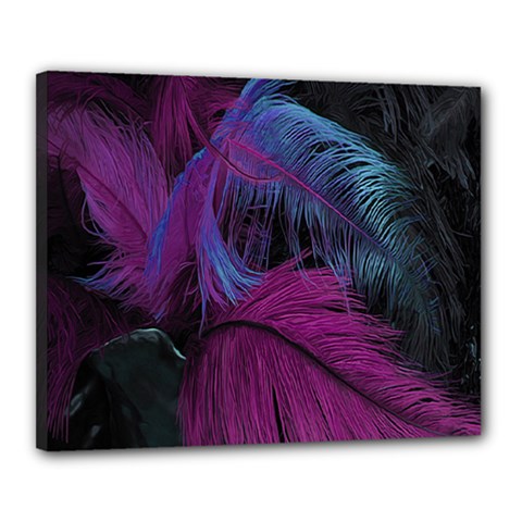 Feathers Quill Pink Black Blue Canvas 20  X 16  by Mariart