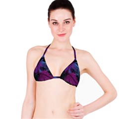 Feathers Quill Pink Black Blue Bikini Top by Mariart