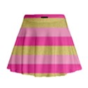 Pink Line Gold Red Horizontal Mini Flare Skirt View1