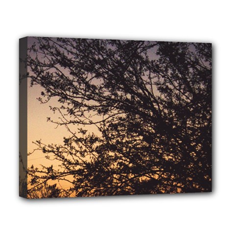 Arizona Sunset Deluxe Canvas 20  X 16   by JellyMooseBear