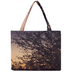 Arizona Sunset Mini Tote Bag by JellyMooseBear