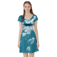 Autumn Crocus Blue Short Sleeve Skater Dress by DeneWestUK