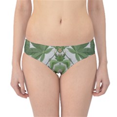 Marijuana Leaf Pattern Hipster Bikini Bottoms