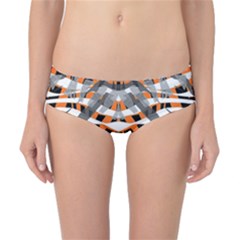 Speedy Zebra Classic Bikini Bottoms