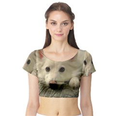 Niko Puppy Face Short Sleeve Crop Top (tight Fit) by NikoTheEskie