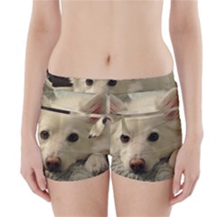 Niko Puppy Face Boyleg Bikini Wrap Bottoms