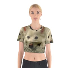 Niko Puppy Face Cotton Crop Top