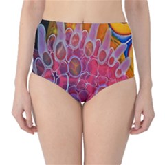 Micro Macro Belle Fisher Nature Stone High-waist Bikini Bottoms by Mariart