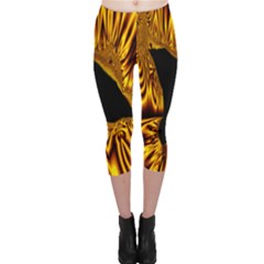 Hole Gold Black Space Capri Leggings  by Mariart