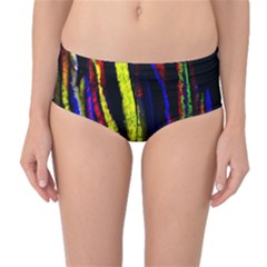 Multicolor Lineage Tracing Confetti Elegantly Illustrates Strength Combining Molecular Genetics Micr Mid-waist Bikini Bottoms by Mariart