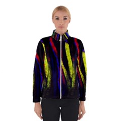 Multicolor Lineage Tracing Confetti Elegantly Illustrates Strength Combining Molecular Genetics Micr Winterwear by Mariart