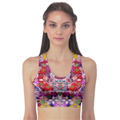 Hawaiian Poi Cartoon Dog Sports Bra by pepitasart