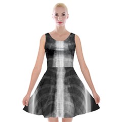 X Ray Velvet Skater Dress by Valentinaart