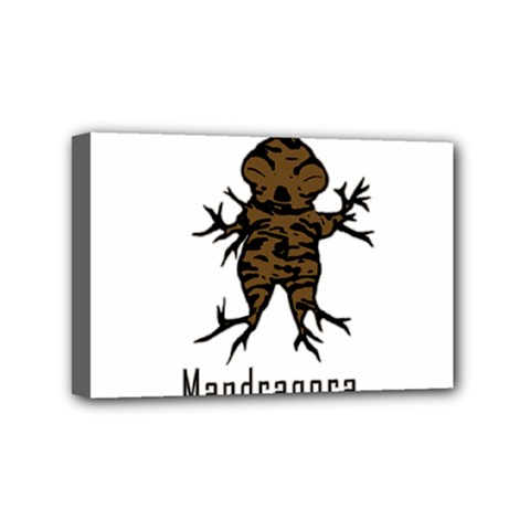 Mandrake Plant Mini Canvas 6  X 4 