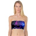 Sign Pisces Zodiac Bandeau Top View1