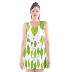 Spring Pattern Scoop Neck Skater Dress by Nexatart