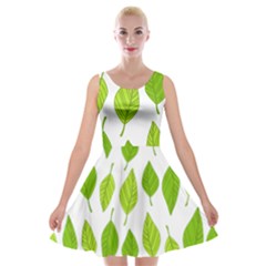 Spring Pattern Velvet Skater Dress by Nexatart