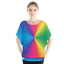 Rainbow Seal Re Imagined Blouse View1