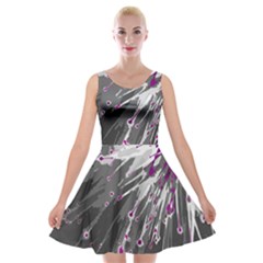 Big Bang Velvet Skater Dress by ValentinaDesign