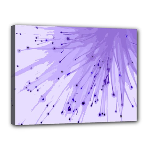 Big Bang Canvas 16  X 12  by ValentinaDesign