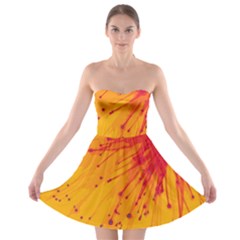 Big Bang Strapless Bra Top Dress by ValentinaDesign